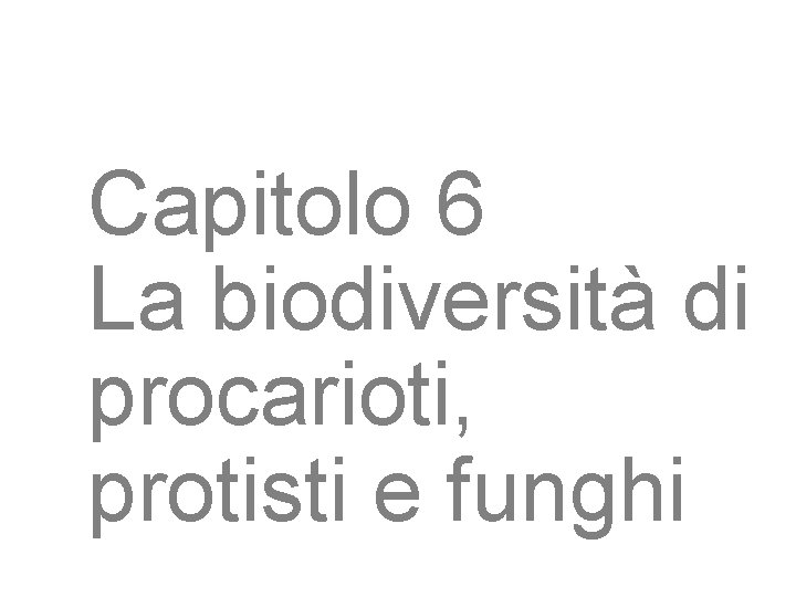 Capitolo 6 La biodiversità di procarioti, protisti e funghi 