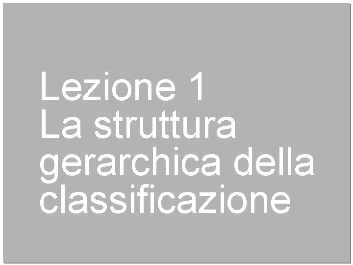 Lezione 1 La struttura gerarchica della classificazione 