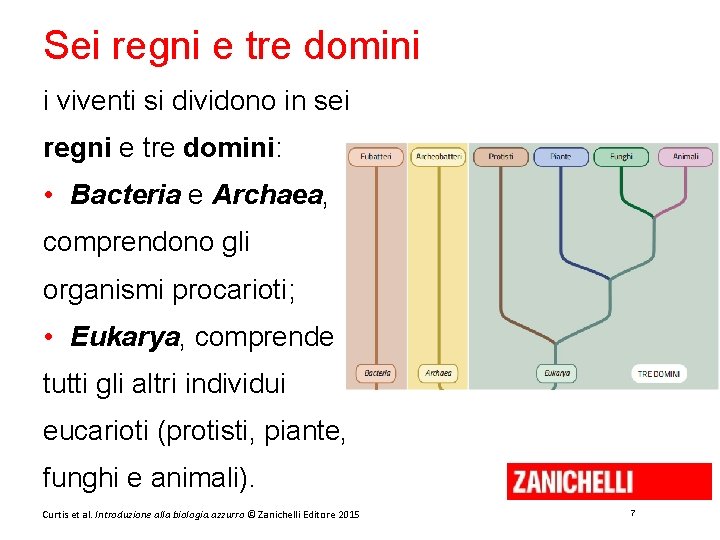 Sei regni e tre domini i viventi si dividono in sei regni e tre