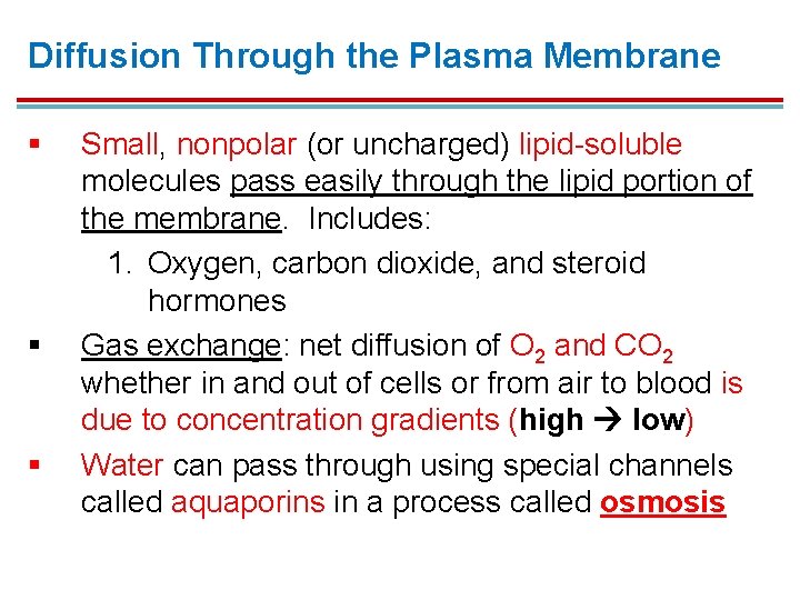 Diffusion Through the Plasma Membrane § § § Small, nonpolar (or uncharged) lipid-soluble molecules Diffusion Through the Plasma Membrane § § § Small, nonpolar (or uncharged) lipid-soluble molecules