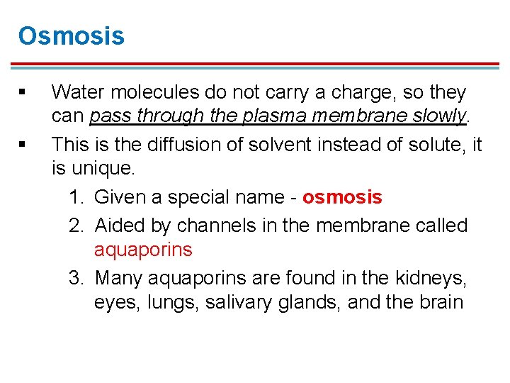 Osmosis § § Water molecules do not carry a charge, so they can pass Osmosis § § Water molecules do not carry a charge, so they can pass