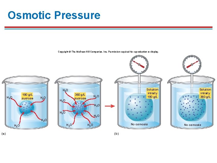 Osmotic Pressure Copyright © The Mc. Graw-Hill Companies, Inc. Permission required for reproduction or Osmotic Pressure Copyright © The Mc. Graw-Hill Companies, Inc. Permission required for reproduction or