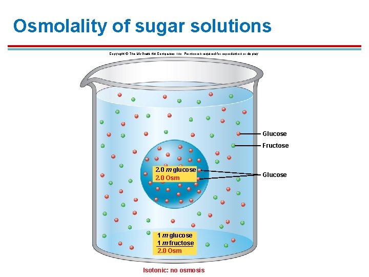 Osmolality of sugar solutions Copyright © The Mc. Graw-Hill Companies, Inc. Permission required for Osmolality of sugar solutions Copyright © The Mc. Graw-Hill Companies, Inc. Permission required for