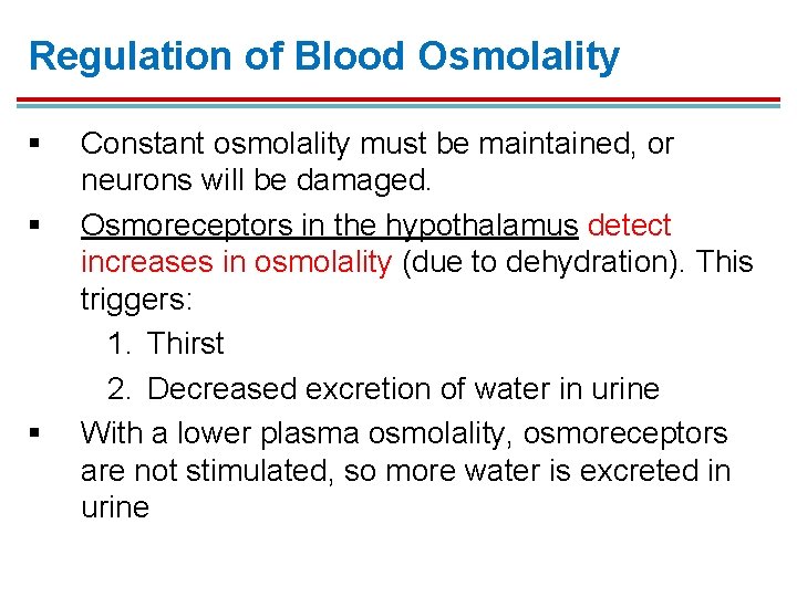 Regulation of Blood Osmolality § § § Constant osmolality must be maintained, or neurons Regulation of Blood Osmolality § § § Constant osmolality must be maintained, or neurons