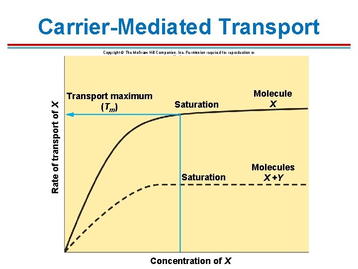 Carrier-Mediated Transport Rate of transport of X Copyright © The Mc. Graw-Hill Companies, Inc. Carrier-Mediated Transport Rate of transport of X Copyright © The Mc. Graw-Hill Companies, Inc.