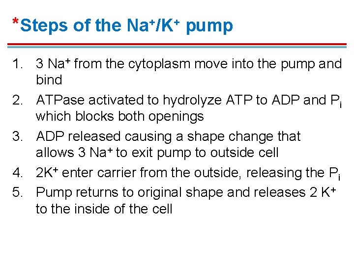 *Steps of the Na+/K+ pump 1. 3 Na+ from the cytoplasm move into the *Steps of the Na+/K+ pump 1. 3 Na+ from the cytoplasm move into the