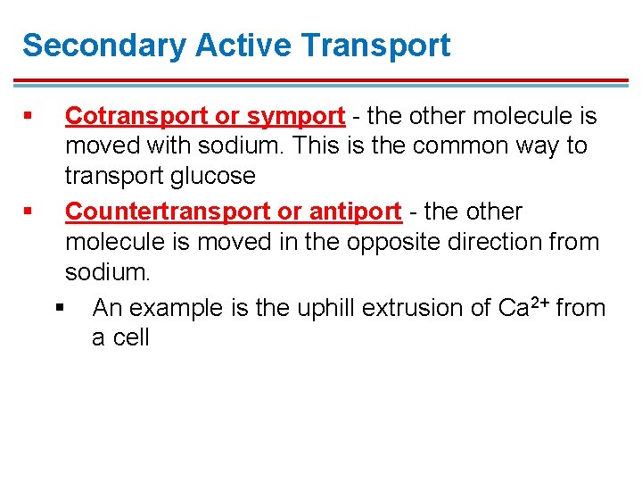 Secondary Active Transport § Cotransport or symport - the other molecule is moved with Secondary Active Transport § Cotransport or symport - the other molecule is moved with