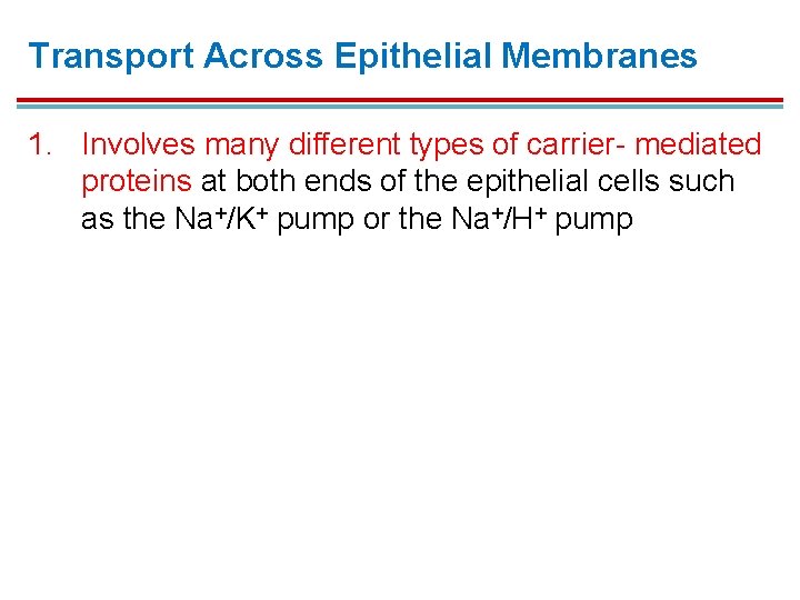 Transport Across Epithelial Membranes 1. Involves many different types of carrier- mediated proteins at Transport Across Epithelial Membranes 1. Involves many different types of carrier- mediated proteins at