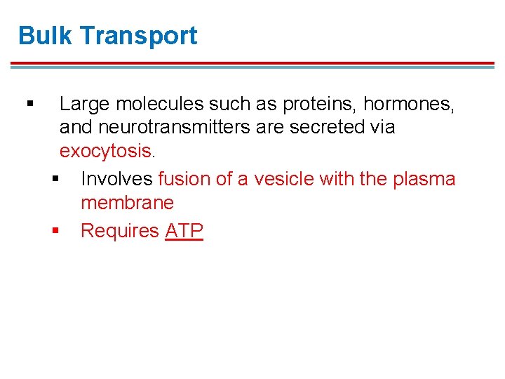 Bulk Transport § Large molecules such as proteins, hormones, and neurotransmitters are secreted via Bulk Transport § Large molecules such as proteins, hormones, and neurotransmitters are secreted via