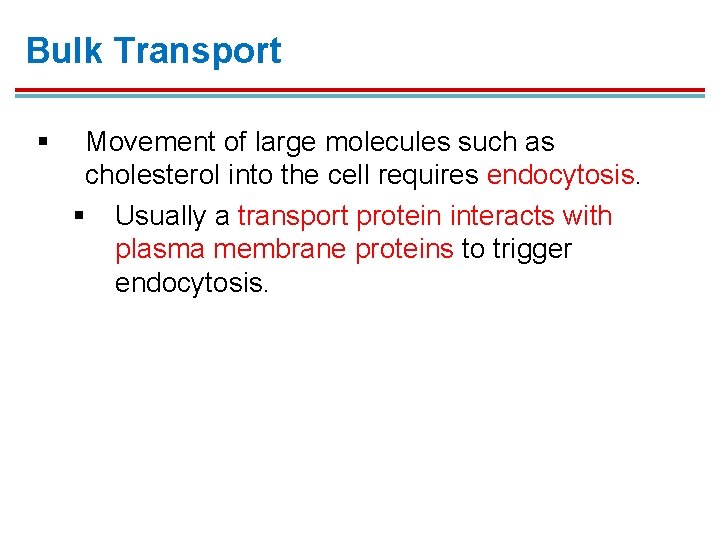 Bulk Transport § Movement of large molecules such as cholesterol into the cell requires Bulk Transport § Movement of large molecules such as cholesterol into the cell requires