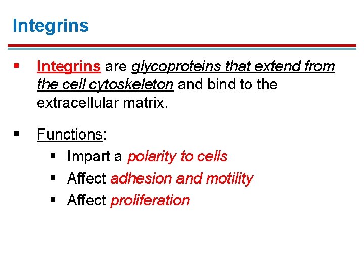 Integrins § Integrins are glycoproteins that extend from the cell cytoskeleton and bind to Integrins § Integrins are glycoproteins that extend from the cell cytoskeleton and bind to