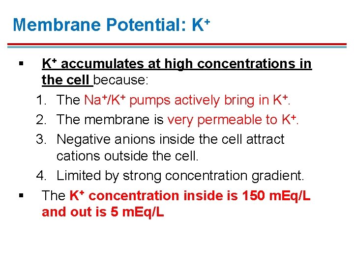 Membrane Potential: K+ § K+ accumulates at high concentrations in the cell because: 1. Membrane Potential: K+ § K+ accumulates at high concentrations in the cell because: 1.