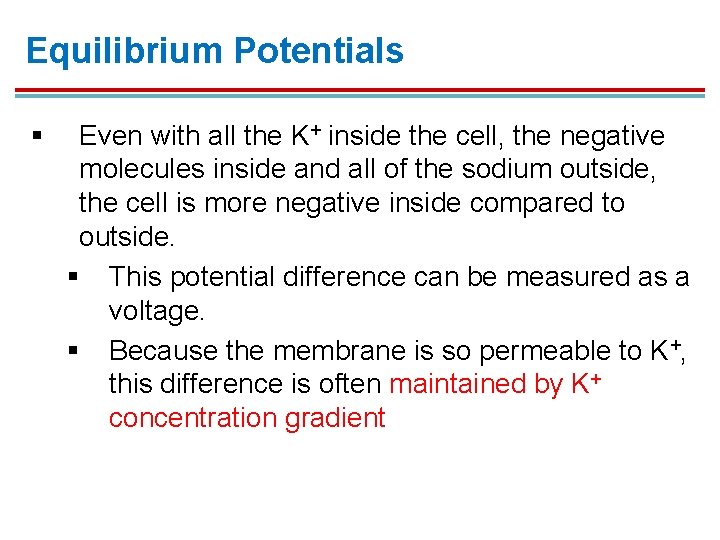 Equilibrium Potentials § Even with all the K+ inside the cell, the negative molecules Equilibrium Potentials § Even with all the K+ inside the cell, the negative molecules