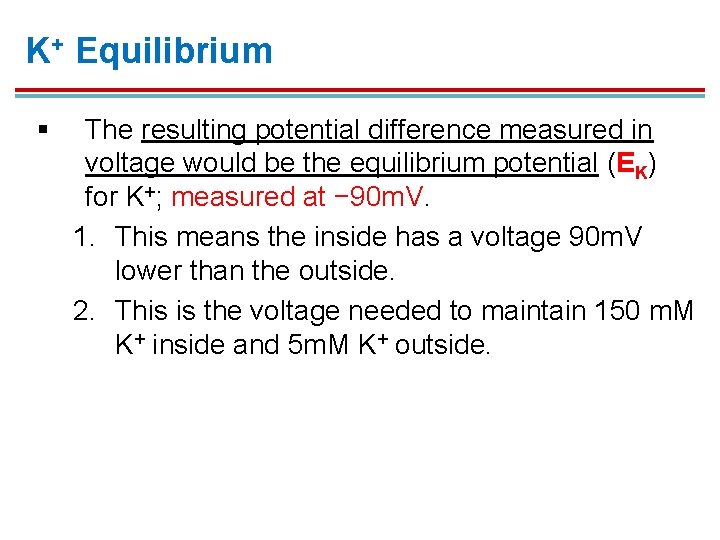 K+ Equilibrium § The resulting potential difference measured in voltage would be the equilibrium K+ Equilibrium § The resulting potential difference measured in voltage would be the equilibrium