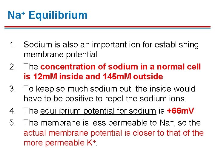 Na+ Equilibrium 1. Sodium is also an important ion for establishing membrane potential. 2. Na+ Equilibrium 1. Sodium is also an important ion for establishing membrane potential. 2.