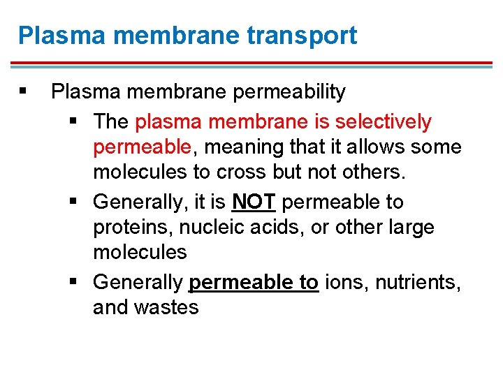 Plasma membrane transport § Plasma membrane permeability § The plasma membrane is selectively permeable, Plasma membrane transport § Plasma membrane permeability § The plasma membrane is selectively permeable,