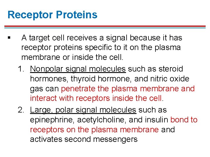 Receptor Proteins § A target cell receives a signal because it has receptor proteins Receptor Proteins § A target cell receives a signal because it has receptor proteins
