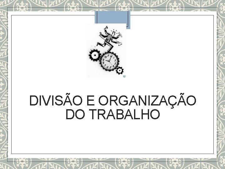 DIVISÃO E ORGANIZAÇÃO DO TRABALHO 