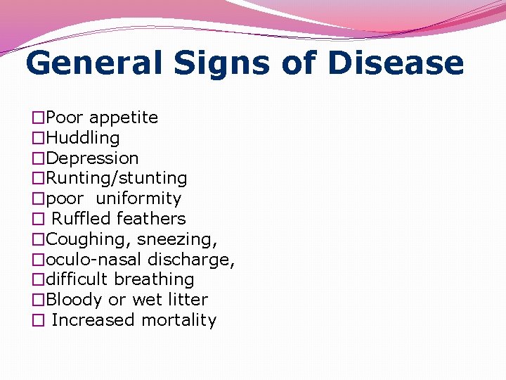 General Signs of Disease �Poor appetite �Huddling �Depression �Runting/stunting �poor uniformity � Ruffled feathers