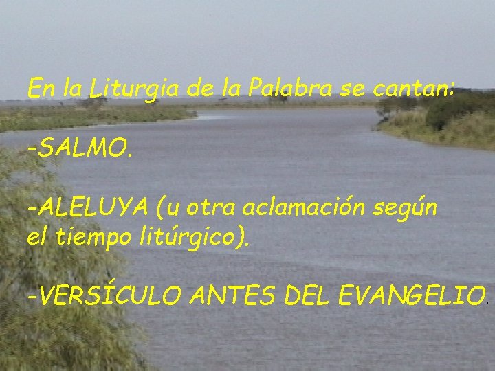 En la Liturgia de la Palabra se cantan: -SALMO. -ALELUYA (u otra aclamación según En la Liturgia de la Palabra se cantan: -SALMO. -ALELUYA (u otra aclamación según