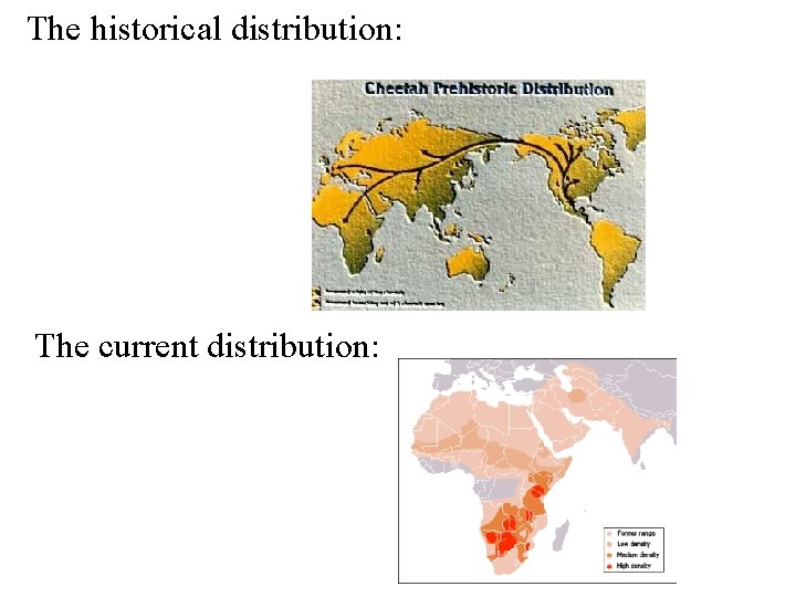 The historical distribution: The current distribution: 