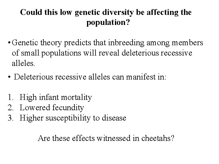 Could this low genetic diversity be affecting the population? • Genetic theory predicts that