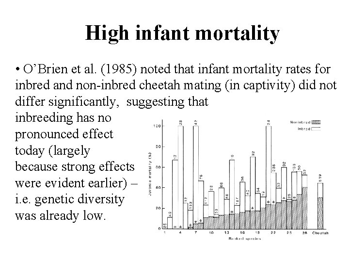 High infant mortality • O’Brien et al. (1985) noted that infant mortality rates for