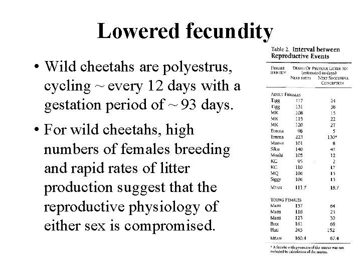 Lowered fecundity • Wild cheetahs are polyestrus, cycling ~ every 12 days with a