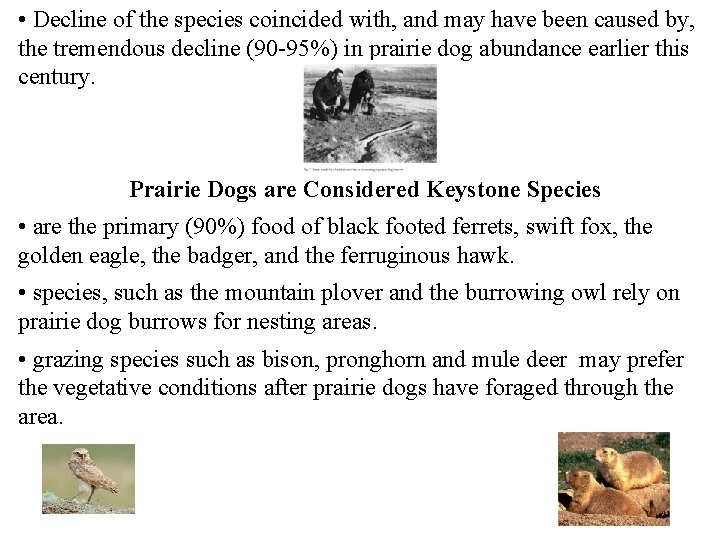  • Decline of the species coincided with, and may have been caused by,