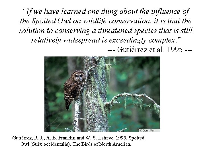 “If we have learned one thing about the influence of the Spotted Owl on