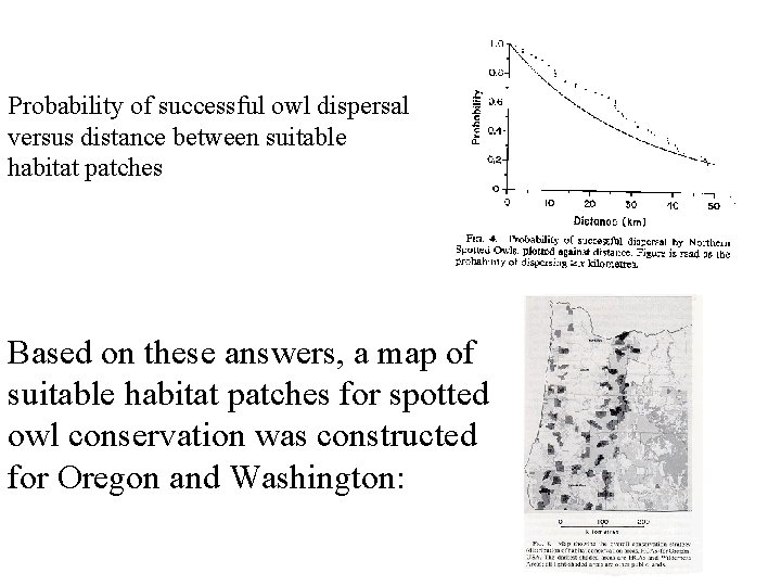 Probability of successful owl dispersal versus distance between suitable habitat patches Based on these