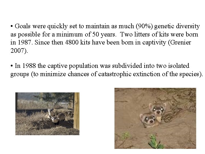  • Goals were quickly set to maintain as much (90%) genetic diversity as