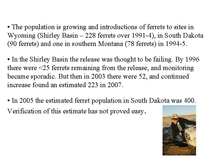 • The population is growing and introductions of ferrets to sites in Wyoming