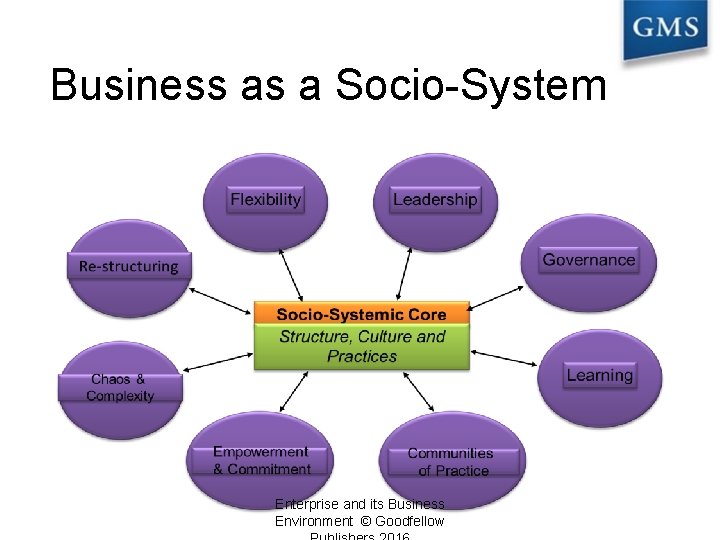 Business as a Socio-System Enterprise and its Business Environment © Goodfellow 