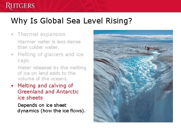 Why Is Global Sea Level Rising? • Thermal expansion Warmer water is less dense