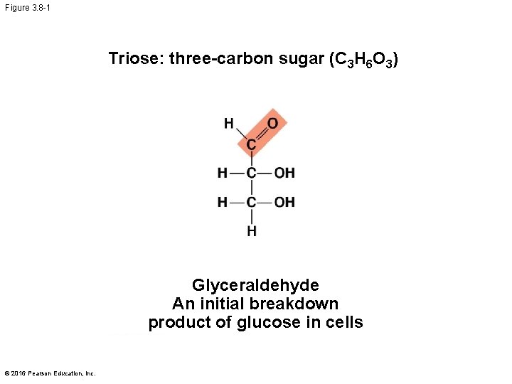 Figure 3. 8 -1 Triose: three-carbon sugar (C 3 H 6 O 3) Glyceraldehyde