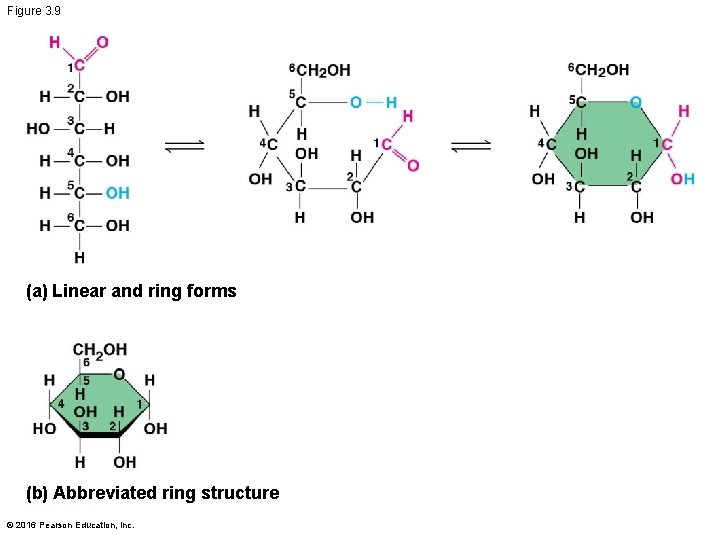 Figure 3. 9 (a) Linear and ring forms (b) Abbreviated ring structure © 2016