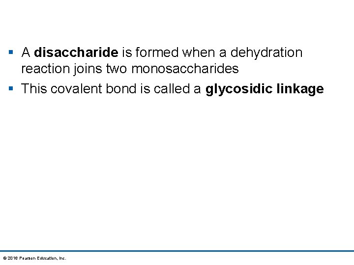 § A disaccharide is formed when a dehydration reaction joins two monosaccharides § This