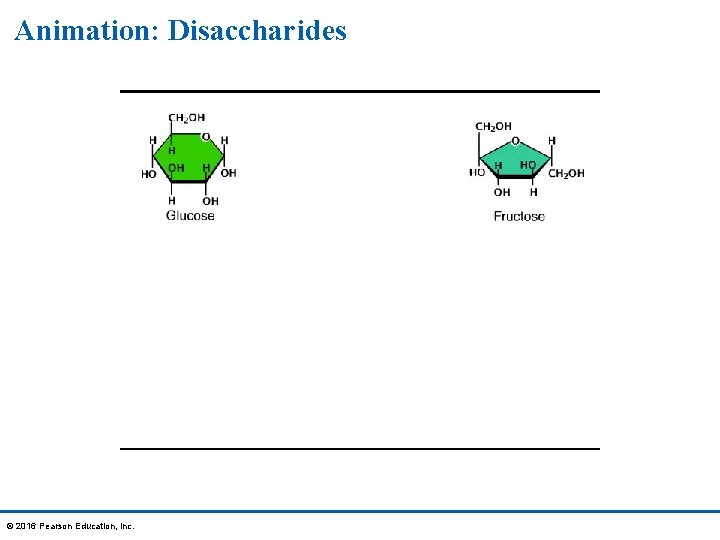 Animation: Disaccharides © 2016 Pearson Education, Inc. 