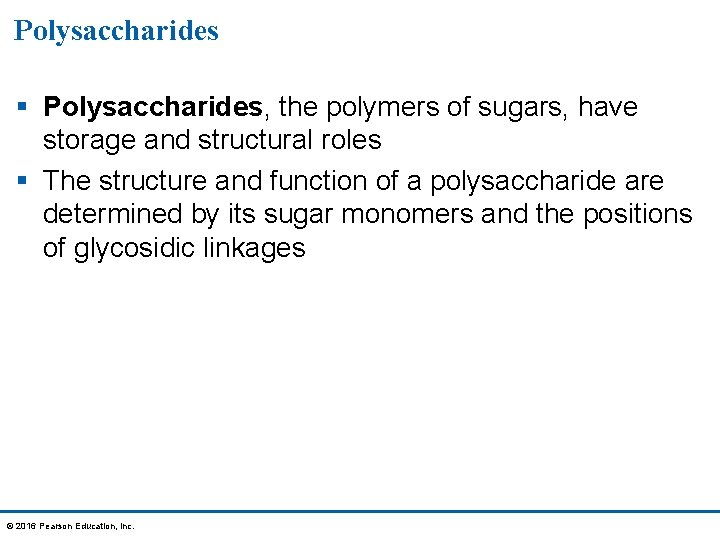 Polysaccharides § Polysaccharides, the polymers of sugars, have storage and structural roles § The