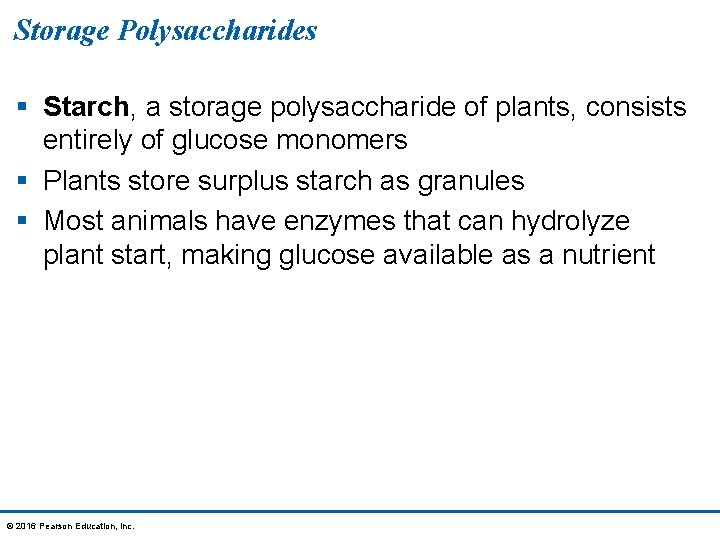 Storage Polysaccharides § Starch, a storage polysaccharide of plants, consists entirely of glucose monomers