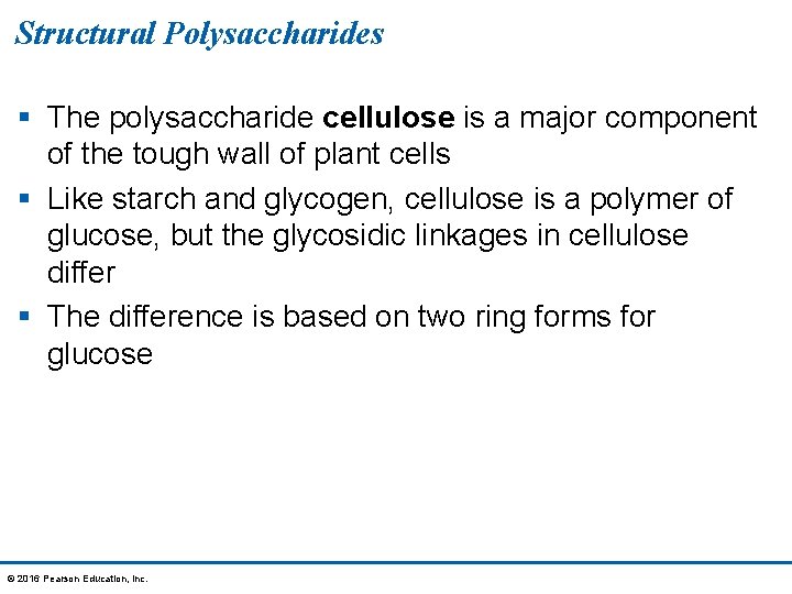 Structural Polysaccharides § The polysaccharide cellulose is a major component of the tough wall