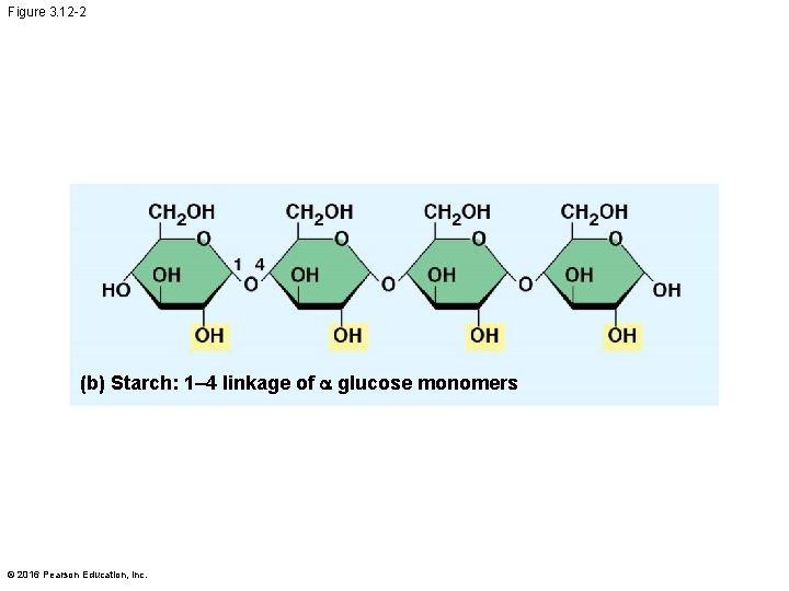 Figure 3. 12 -2 (b) Starch: 1– 4 linkage of glucose monomers © 2016