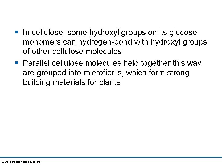 § In cellulose, some hydroxyl groups on its glucose monomers can hydrogen-bond with hydroxyl