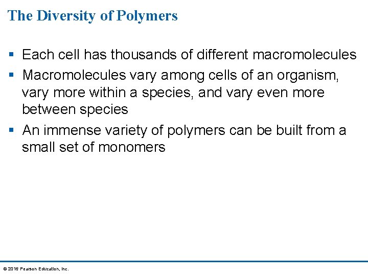 The Diversity of Polymers § Each cell has thousands of different macromolecules § Macromolecules