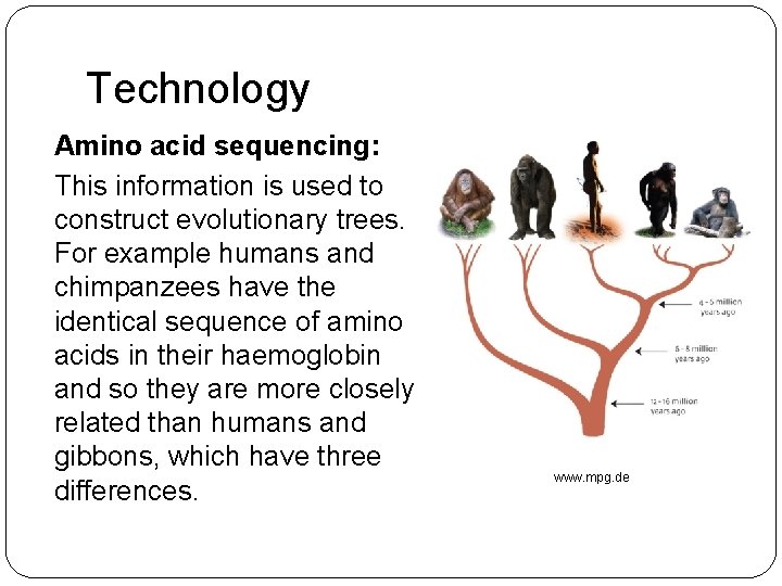 Technology Amino acid sequencing: This information is used to construct evolutionary trees. For example