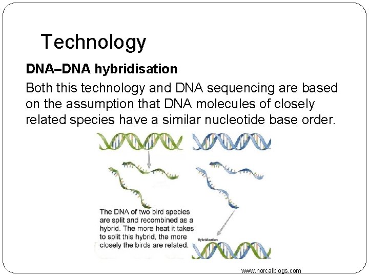 Technology DNA–DNA hybridisation Both this technology and DNA sequencing are based on the assumption