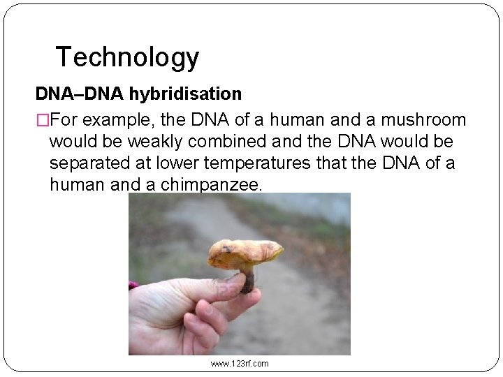 Technology DNA–DNA hybridisation �For example, the DNA of a human and a mushroom would