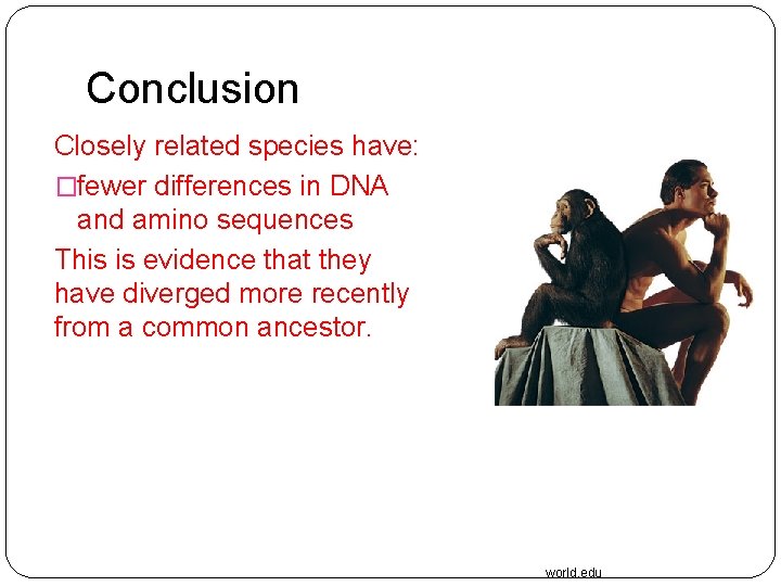 Conclusion Closely related species have: �fewer differences in DNA and amino sequences This is
