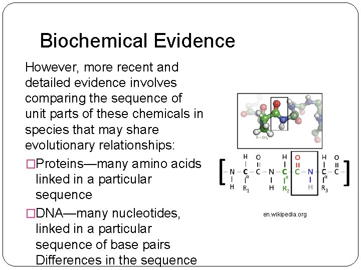 Biochemical Evidence However, more recent and detailed evidence involves comparing the sequence of unit